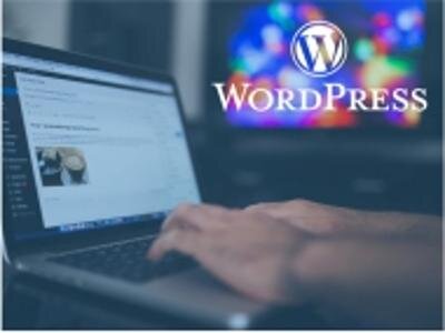 Comanagement - creare site-uri de prezentare WordPress, web design modern si optimizare SEO